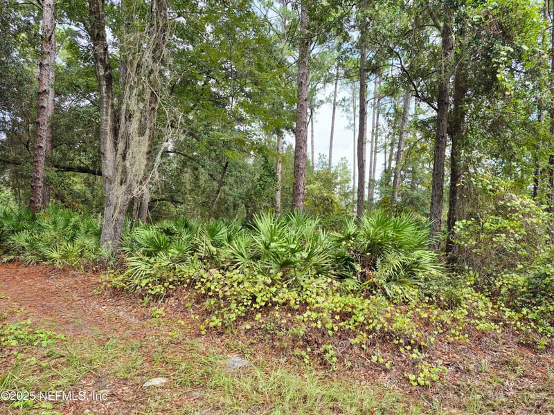 214 Dogwood Ave, Georgetown, FL 32139