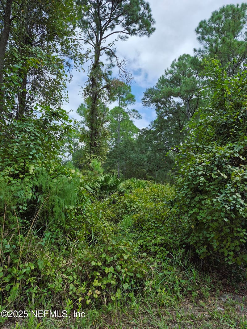 214 Dogwood Ave, Georgetown, FL 32139