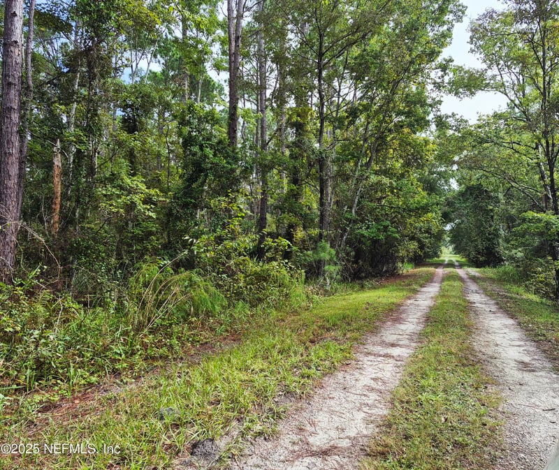 214 Dogwood Ave, Georgetown, FL 32139