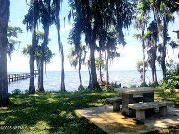 214 Dogwood Ave, Georgetown, FL 32139