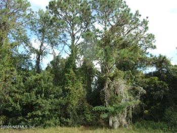 00 San Mateo Rd, Satsuma, FL 32189