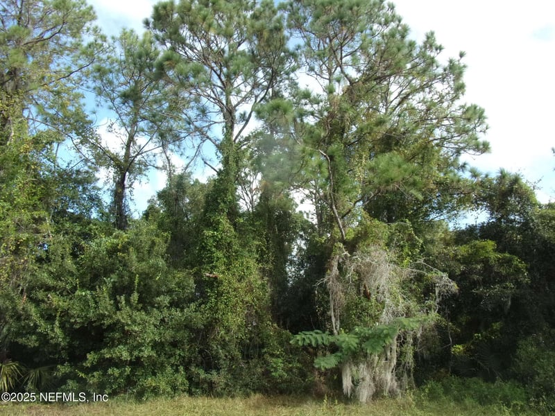 00 San Mateo Rd, Satsuma, FL 32189