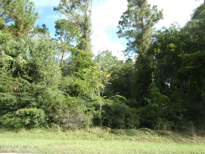 00 San Mateo Rd, Satsuma, FL 32189