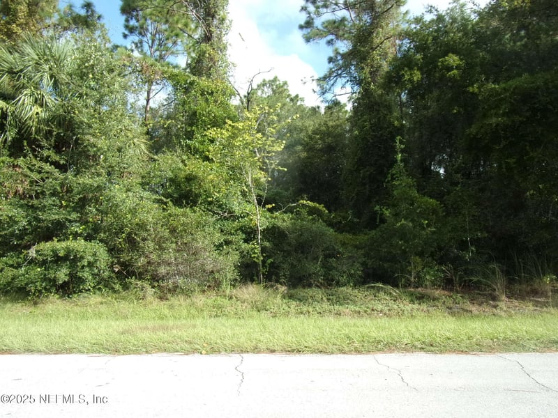 00 San Mateo Rd, Satsuma, FL 32189