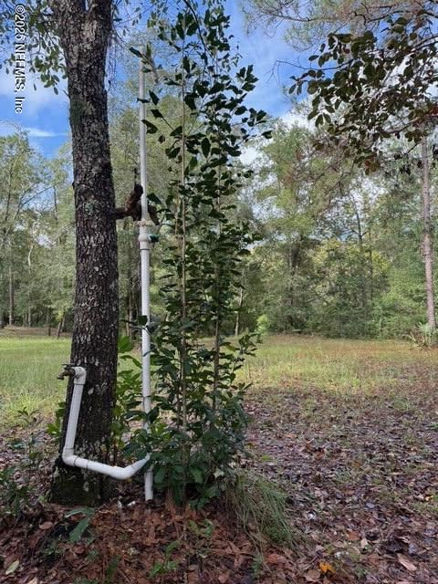 0 Skipper Rd, Middleburg, FL 32068