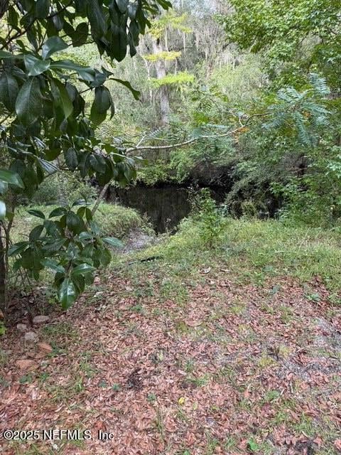 0 Skipper Rd, Middleburg, FL 32068