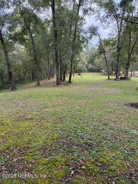 0 Skipper Rd, Middleburg, FL 32068