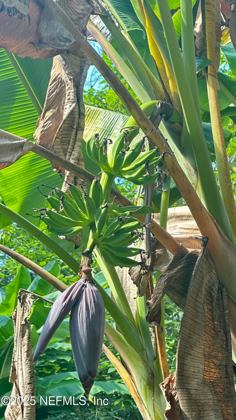 7488 Ricker Rd, Jacksonville, FL 32244