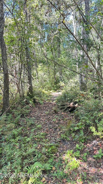 7488 Ricker Rd, Jacksonville, FL 32244
