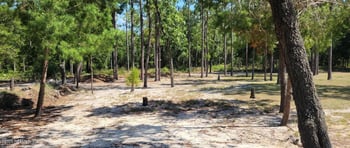 6361 Antioch Ave, Keystone Heights, FL 32656