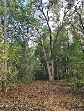 136 Lemon St, Pomona Park, FL 32181