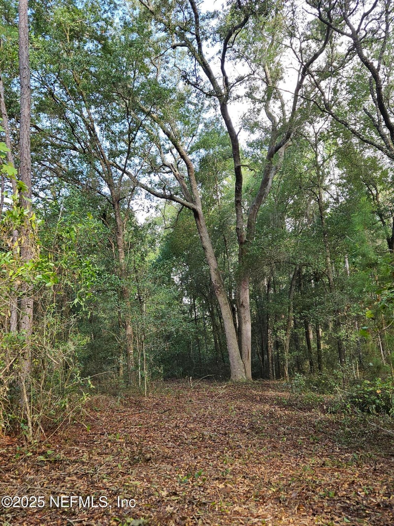 136 Lemon St, Pomona Park, FL 32181