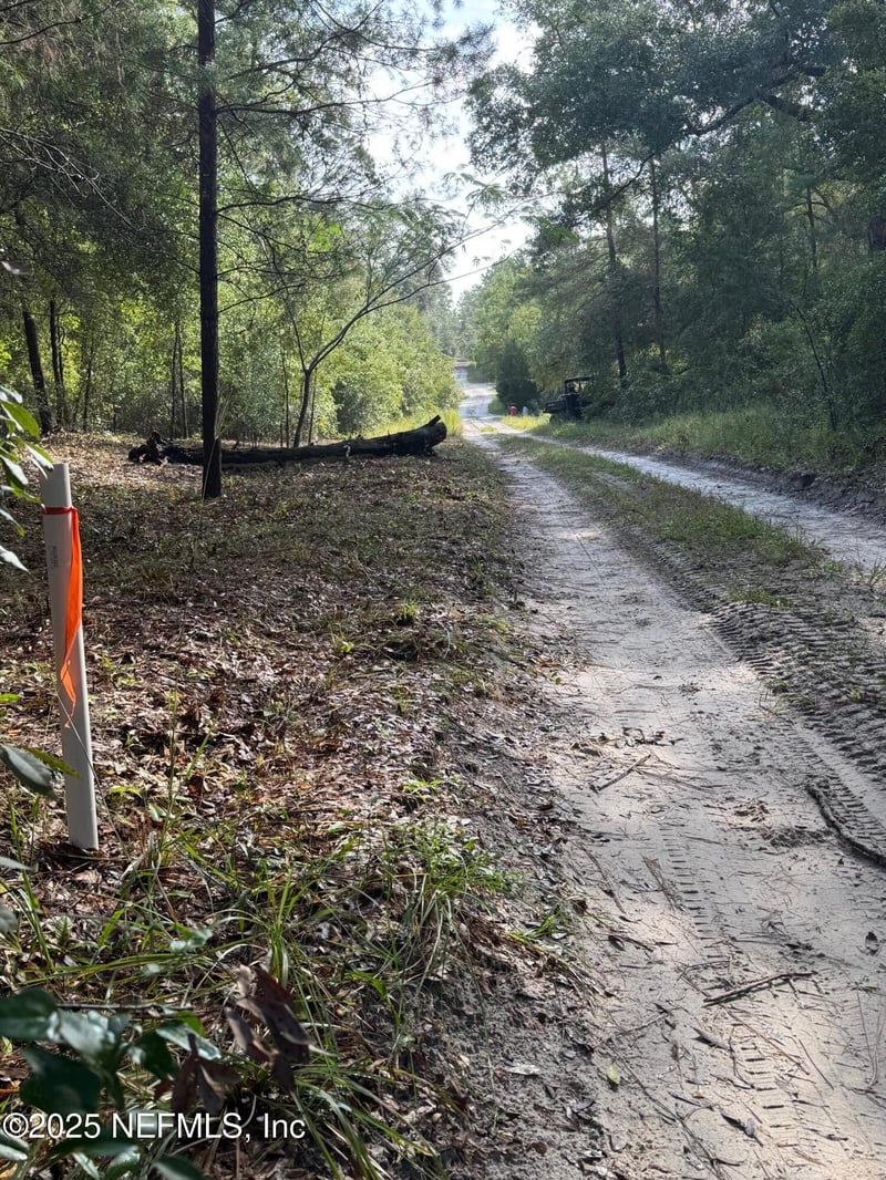 136 Lemon St, Pomona Park, FL 32181