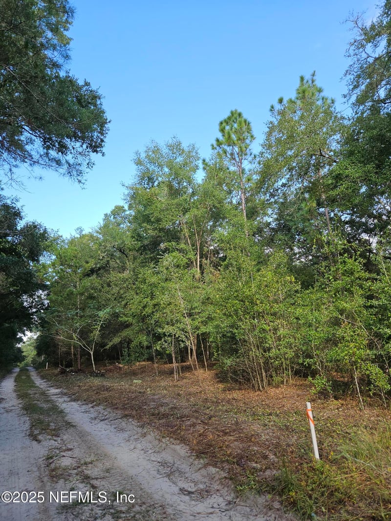 136 Lemon St, Pomona Park, FL 32181