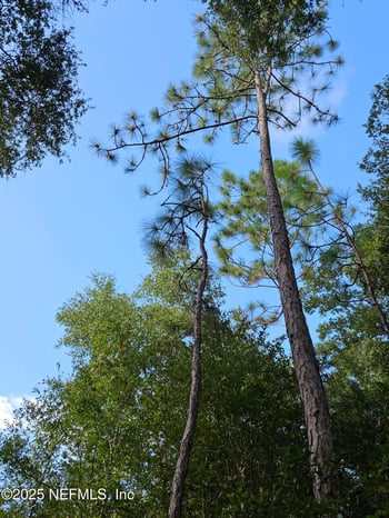 136 Lemon St, Pomona Park, FL 32181