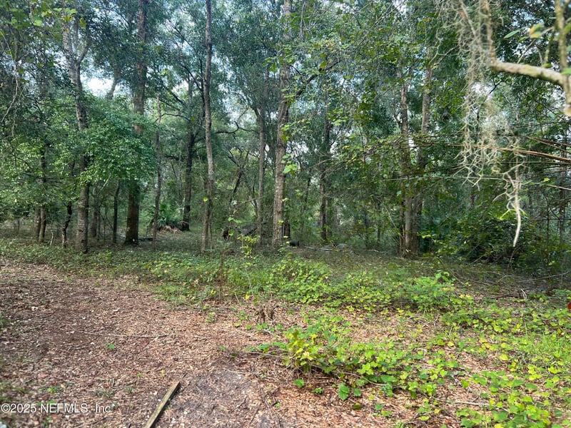 126 Willow Ln, Hawthorne, FL 32640