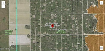 10310 Erickson Ave, Hastings, FL 32145