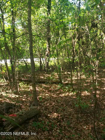 563 Hammond Blvd, Jacksonville, FL 32220