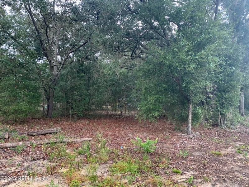 0250 Lenore Ave, Interlachen, FL 32148