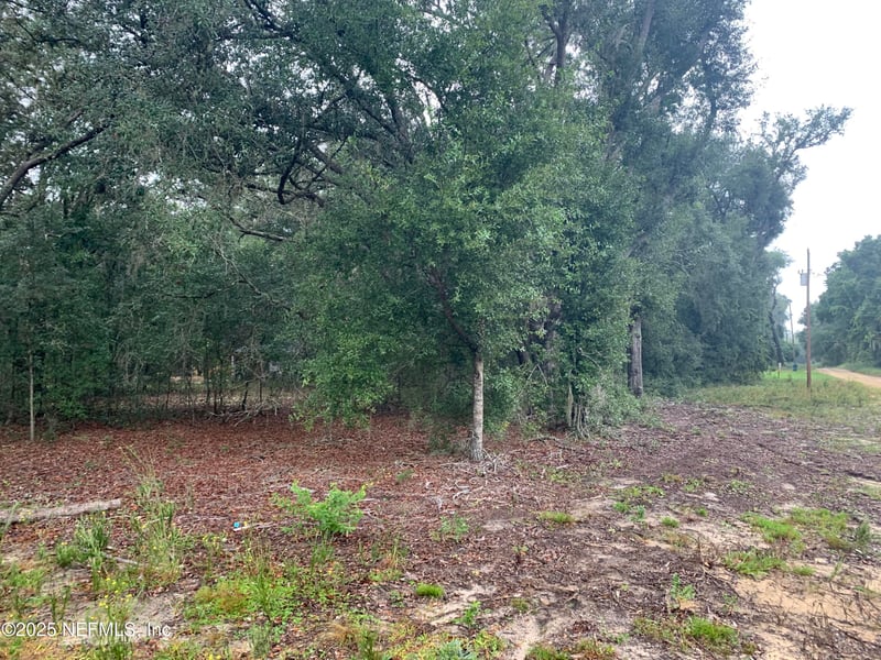 0250 Lenore Ave, Interlachen, FL 32148