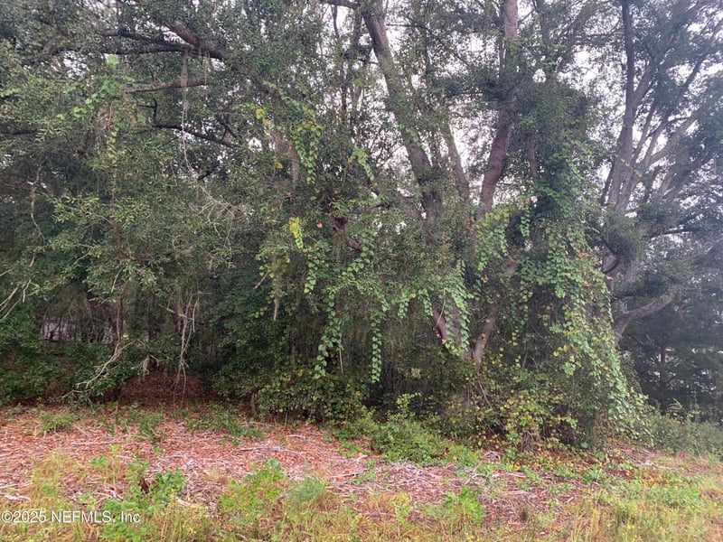 0250 Lenore Ave, Interlachen, FL 32148