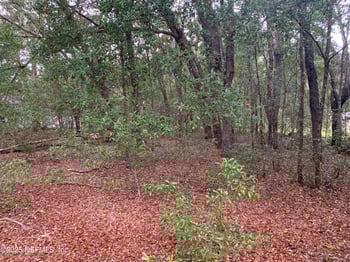 0250 Lenore Ave, Interlachen, FL 32148