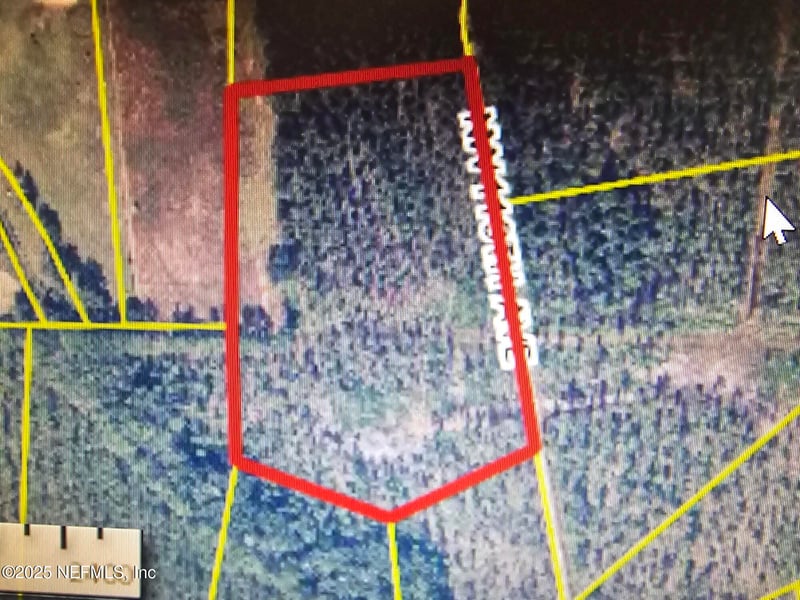 TBD 119th Ave, Lake Butler, FL 32054