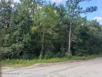 341 County Road 315, Interlachen, FL 32148