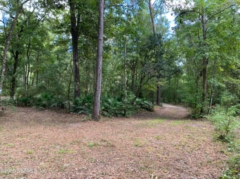 118 Corbina Way, Florahome, FL 32140