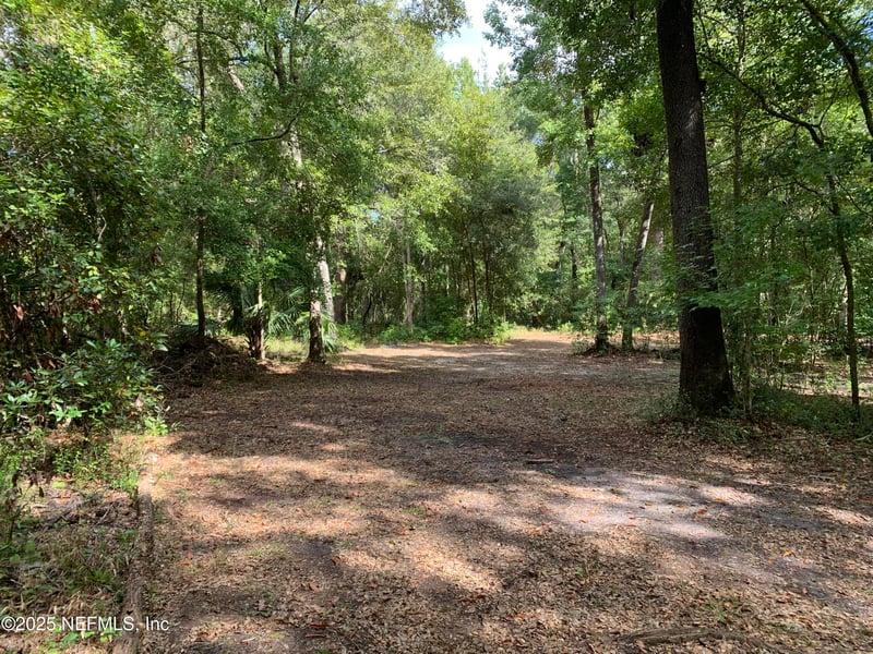 118 Corbina Way, Florahome, FL 32140