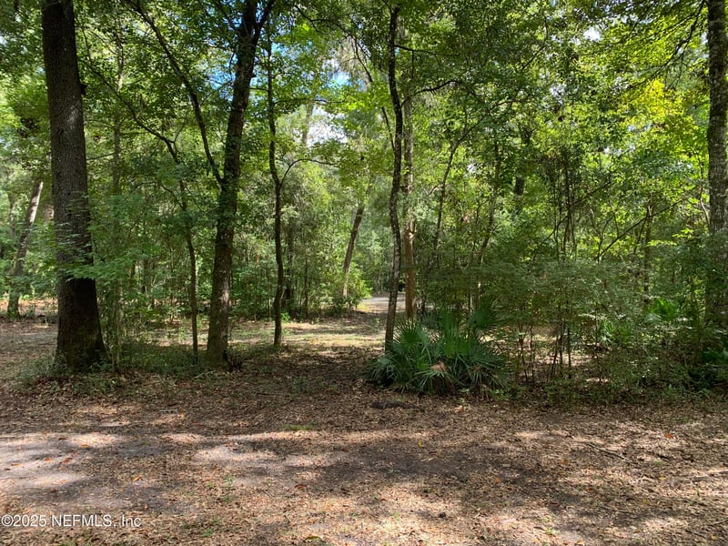 118 Corbina Way, Florahome, FL 32140