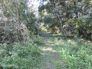 New Berlin Rd, Jacksonville, FL 32226