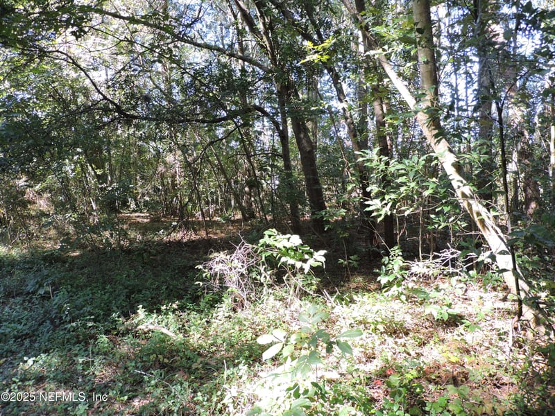 0 New Berlin Rd, Jacksonville, FL 32226