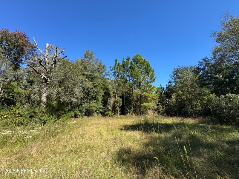 44170 Woodland Cir, Callahan, FL 32011