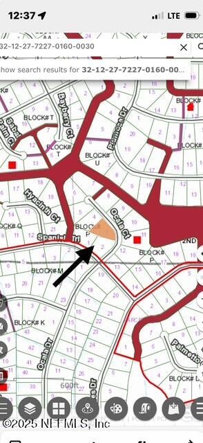 207 Ocala Ct, Georgetown, FL 32139