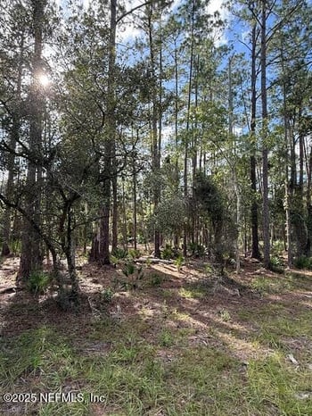 207 Ocala Ct, Georgetown, FL 32139