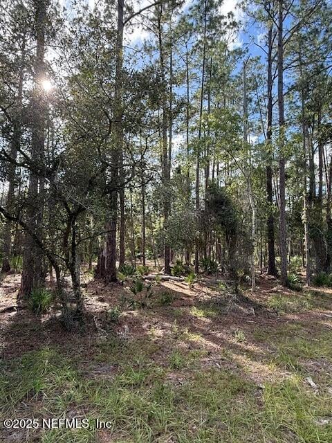 207 Ocala Ct, Georgetown, FL 32139