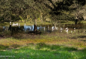 1318 Asher Ct, Ormond Beach, FL 32174