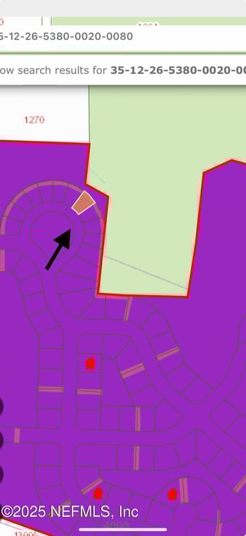 161 Live Oak Cir, Crescent City, FL 32112