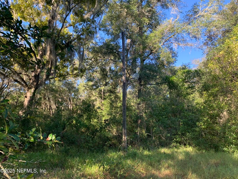 000 Baden Powell Rd, Hawthorne, FL 32140