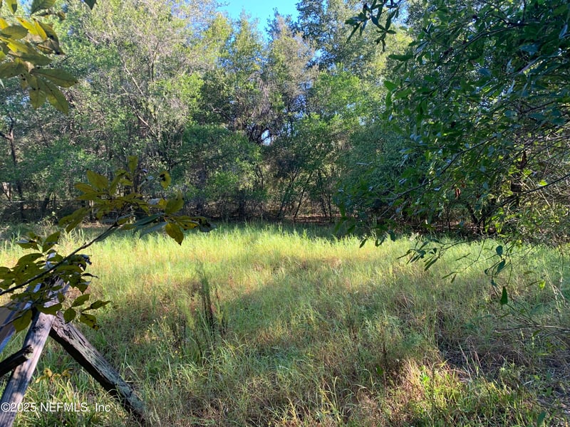 000 Baden Powell Rd, Hawthorne, FL 32140