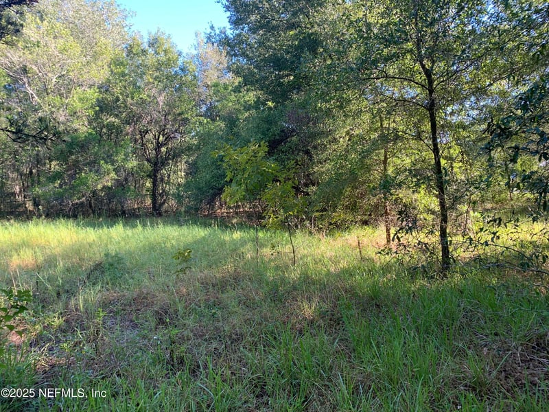 000 Baden Powell Rd, Hawthorne, FL 32140