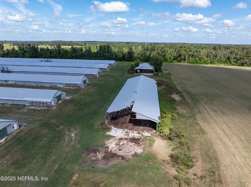 1175 County Road 351, Mayo, FL 32066