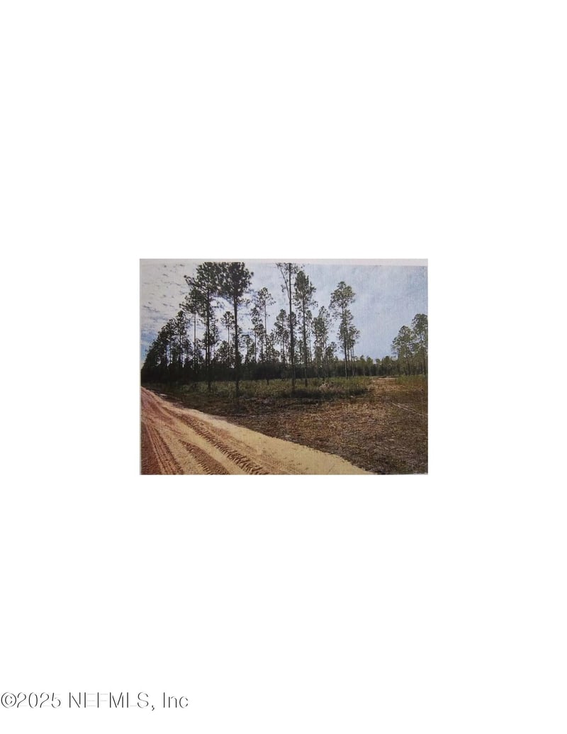 TBD 119th Ave, Lake Butler, FL 32054