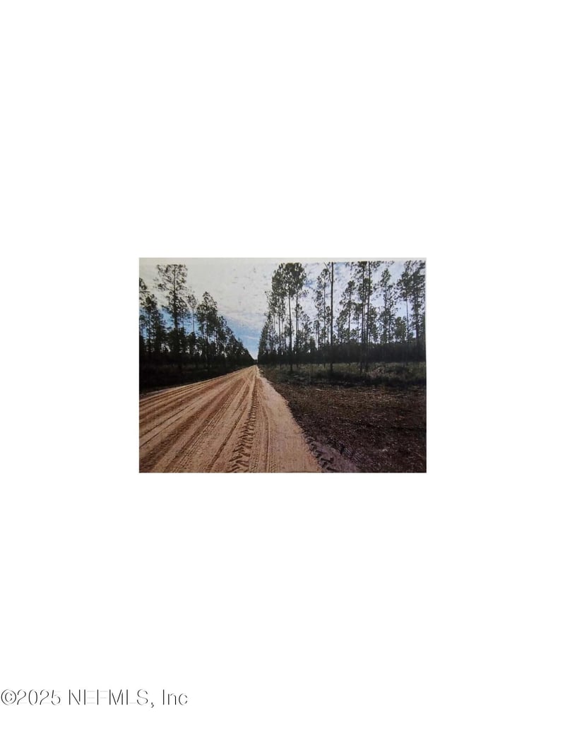 TBD 119th Ave, Lake Butler, FL 32054