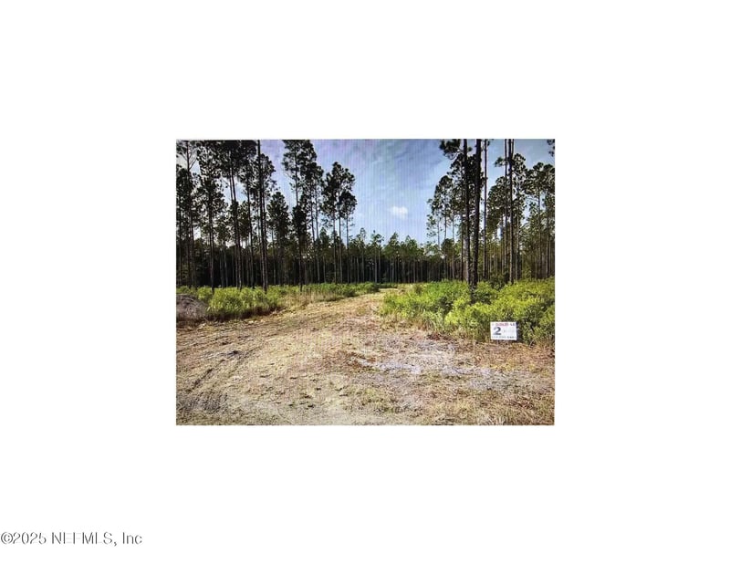 TBD 119th Ave, Lake Butler, FL 32054