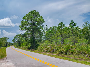 652 Hallmark Ave, Lake Placid, FL 33852