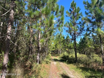 565 Daisy Rd, Lake City, FL 32024