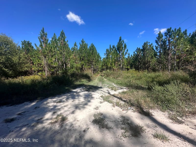 565 Daisy Rd, Lake City, FL 32024