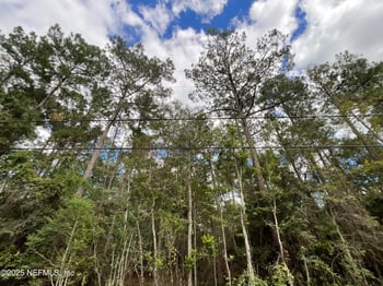 3089 Veronica Ave, Middleburg, FL 32068